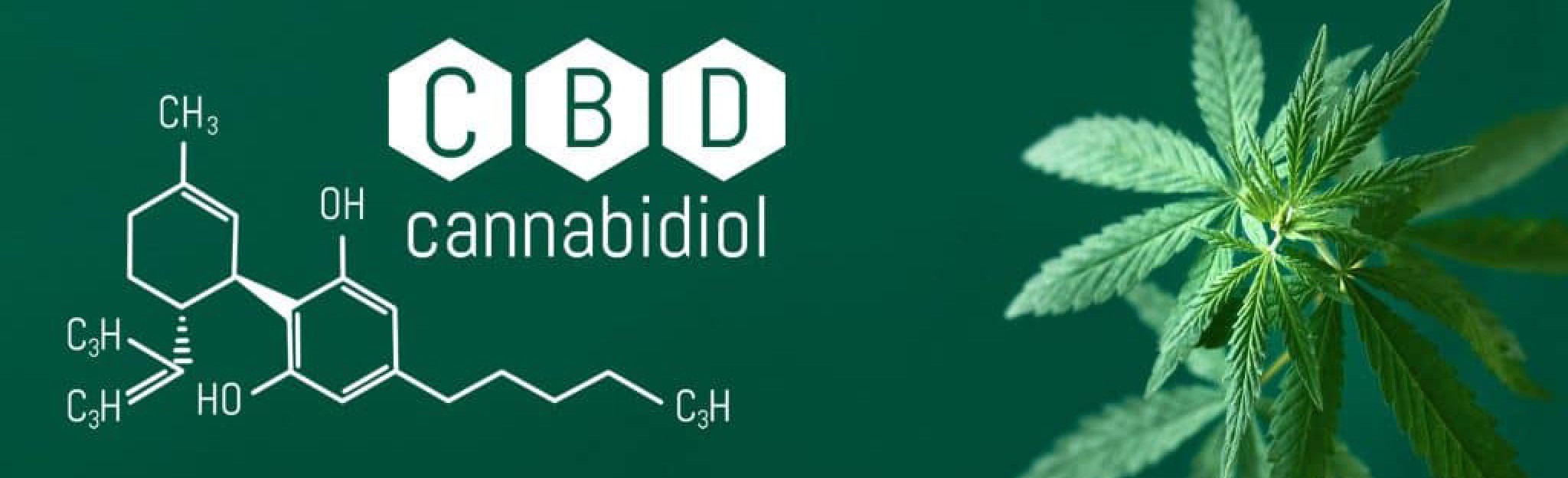 What is a CBD?
