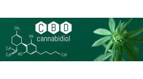 What is a CBD?