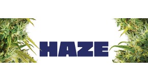 The Haze family of varieties, and why they are loved around the world