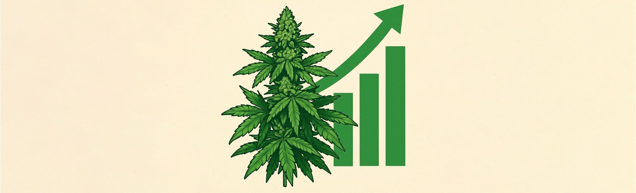 How to maximize cannabis yields