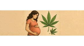 Marijuana and pregnancy