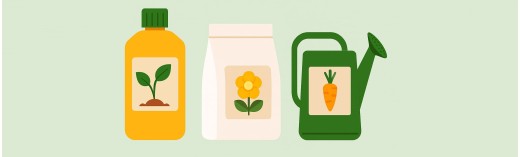 How to properly feed marijuana at different stages of growth