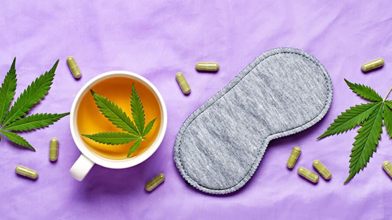 cannabis leaves
